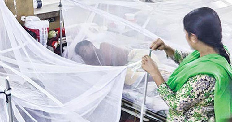 একদিনে ডেঙ্গুতে মৃত্যু ৬, হাসপাতালে ভর্তি ৬৪৭ জন