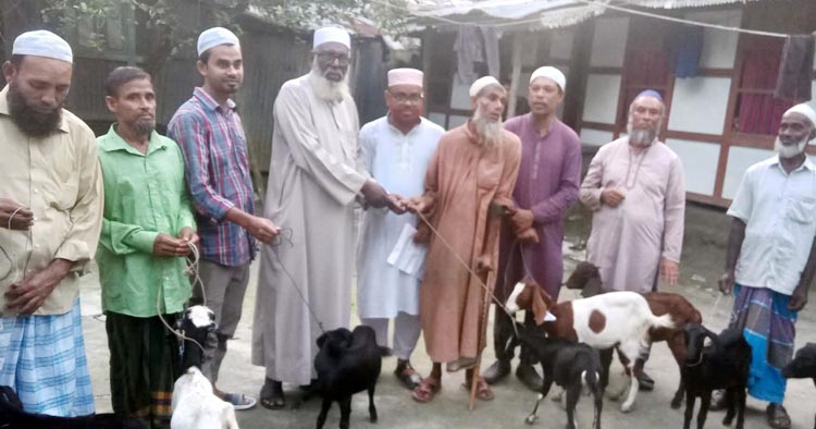 ভোলার দৌলতখানে অসহায়দের মাঝে ছাগল বিতরণ করল জামায়াত