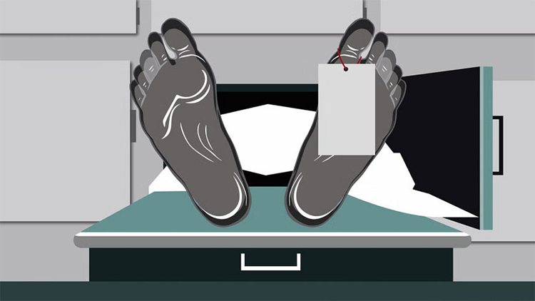 Woman killed as truck hits bus in Gulistan