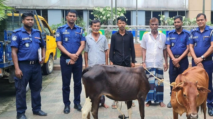 বড়লেখায় ৩ গরু চোরসহ ২টি গরু উদ্ধার