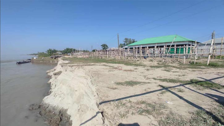 শাহজাদপুরে শুষ্ক মৌসুমেও যমুনায় তীব্র ভাঙ্গন, দিশেহারা কৃষকেরা 