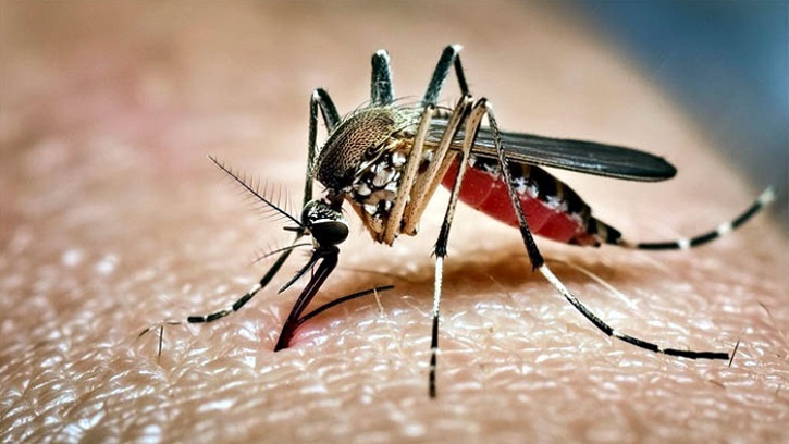 একদিনে ৮৩৪ ডেঙ্গু রোগী হাসপাতালে ভর্তি