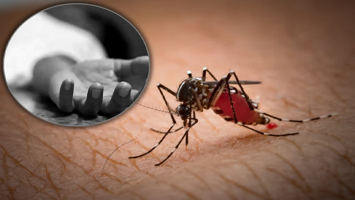 ডেঙ্গুর ভয়াবহতা অব্যাহত , আরও ৭ জনের প্রাণহানি