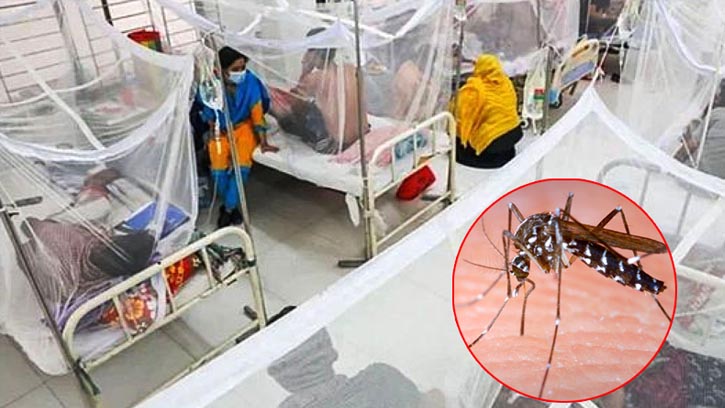 ডেঙ্গুতে মৃত্যুহীন দিন, হাসপাতালে ভর্তি ৫৭২
