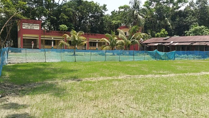 পটুয়াখালীতে স্কুল মাঠে ধানের বীজতলা