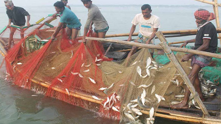 আজ মধ্যরাত থেকে পদ্মা-মেঘনায় মাছ ধরায় ২ মাসের নিষেধাজ্ঞা