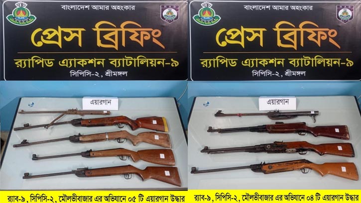 সিলেট ও মৌলভীবাজারে ৯টি এয়ারগান উদ্ধার
