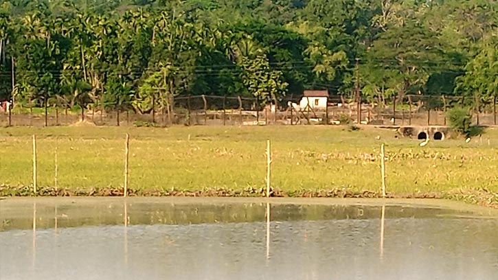 হামলার ১২ ঘণ্টায় ফয়সাল-আলমগীর সীমান্ত পেরিয়ে ভারতে, জনমনে ধোঁয়াশা