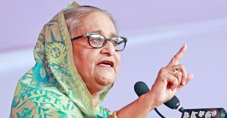 মাতৃভাষা জানার ফলে নিজের ইতিহাস, ঐতিহ্য ও সংস্কৃতি জানা যায়