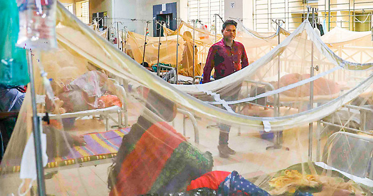 ডেঙ্গুতে ৬ জনের মৃত্যু, নতুন ভর্তি ১,৫৬১