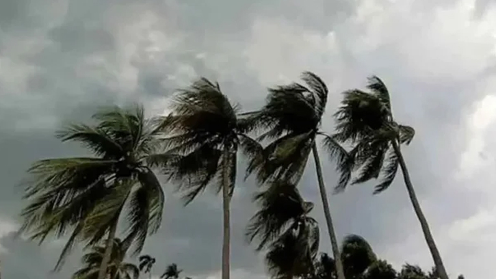 সাত এলাকায় সন্ধ্যার মধ্যে ঝড়ের পূর্বাভাস