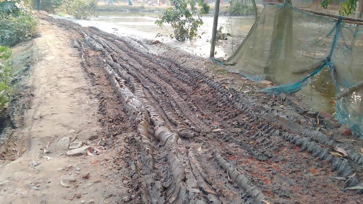 কাদামাখা পথে স্কুলে যাওয়া, নিশিন্দায় থমকে যাচ্ছে শিশুদের স্বপ্ন!