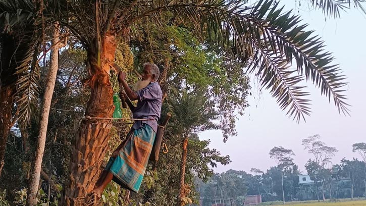 ঐতিহ্যবাহী খেজুরের রস প্রায় বিলুপ্তির পথে!   