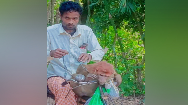 রায়পুরে অটোরিকশাচালক হত্যা: ৪৮ ঘণ্টায় প্রধান আসামি গ্রেফতার