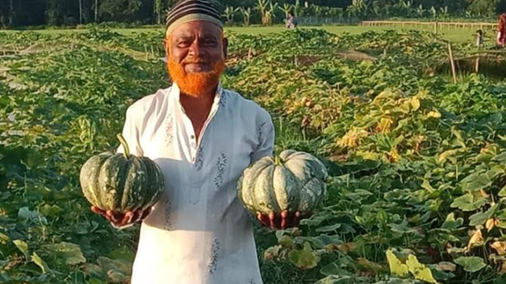 মোরেলগঞ্জে মিষ্টি কুমড়া চাষ করে কোটিপতি জলিল তালুকদার