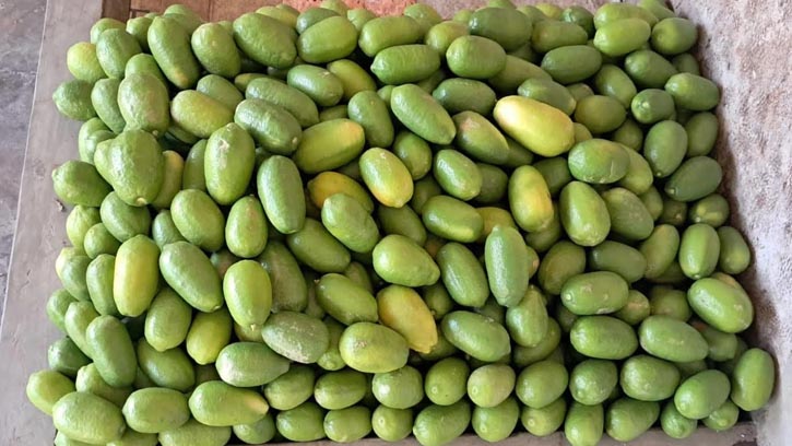 চায়ের রাজ্যেও আকাশচুম্বী লেবুর দামে 