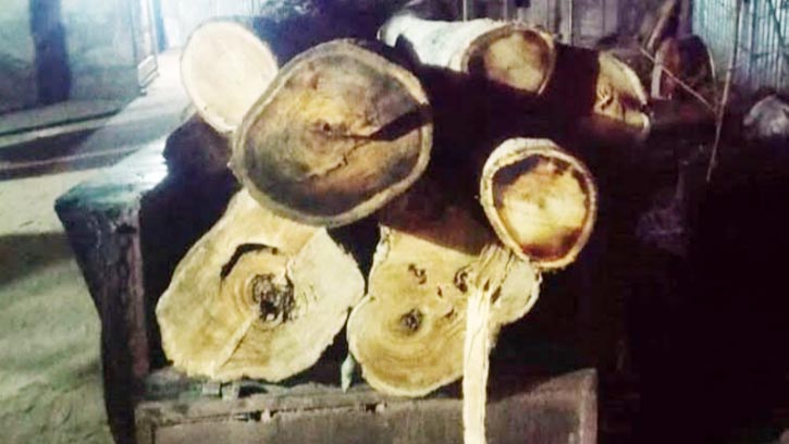 কমলগঞ্জের রেল ক্রসিং এলাকা থেকে কেটে নেয়া গাছ উদ্ধার