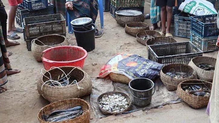 হাওর ও নদীর মাছ বাজারে আনতেই উধাও 