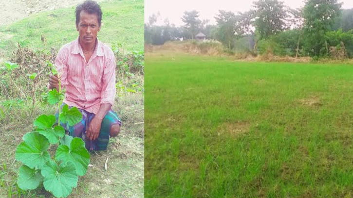 পাঁচবিবিতে দরিদ্র কৃষকের ৪০০ লাউগাছ রাতের আঁধারে চুরি