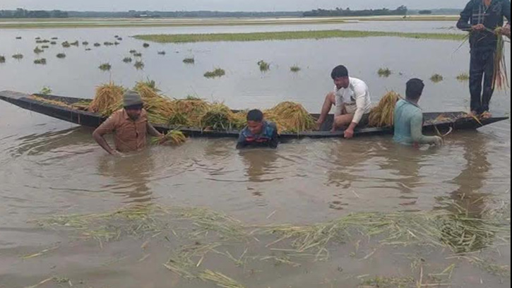 রাইতের মেঘে কৃষকের স্বপ্ন পানিতে তলিয়ে গেছে