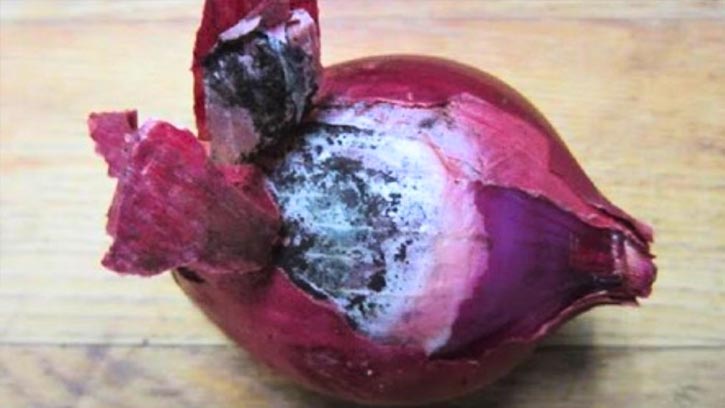 পেঁয়াজে কালো দাগ? হতে পারে স্বাস্থ্যের ক্ষতি