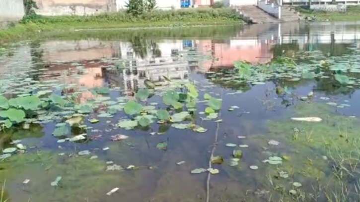পদ্মছড়ায় পদ্ম ফুল তুলতে গিয়ে ডুবে মৃত্যু 
