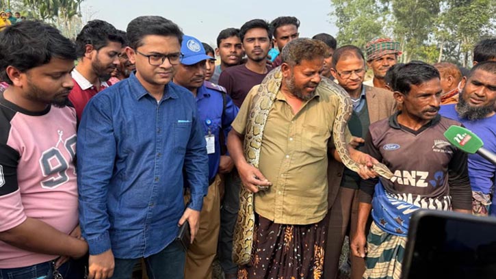 ভূরুঙ্গামারীতে ৯ ফুট লম্বা অজগর সাপ উদ্ধার
