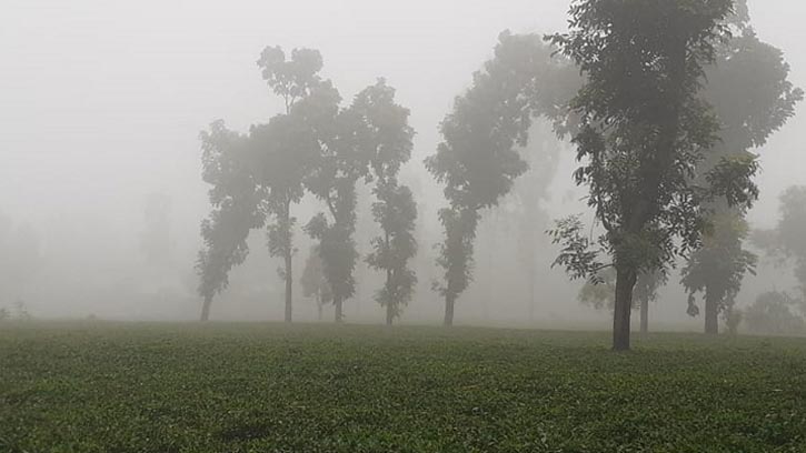 আবহাওয়ার পরিবর্তন শুরু, ধীরে ধীরে নামছে শীত