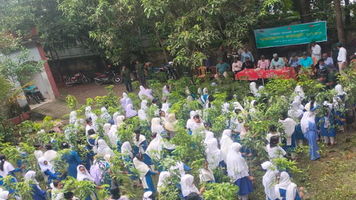সাতক্ষীরায় শিক্ষার্থীদের বৃক্ষরোপণ উৎসব
