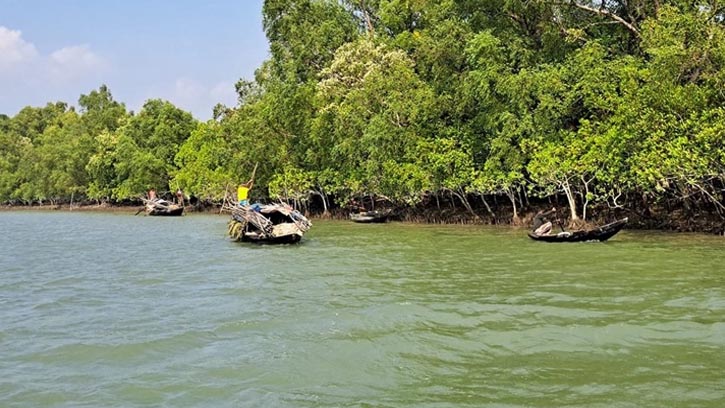 সুন্দরবনে দস্যু আতঙ্ক বৃদ্ধি: তিন মাসে ৩ শতাধিক জেলে অপহরণ