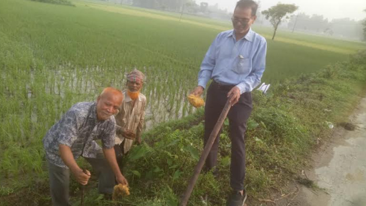 দর্জি আজাদের ১৮ বছরে ১০ হাজার তালগাছ রোপণ