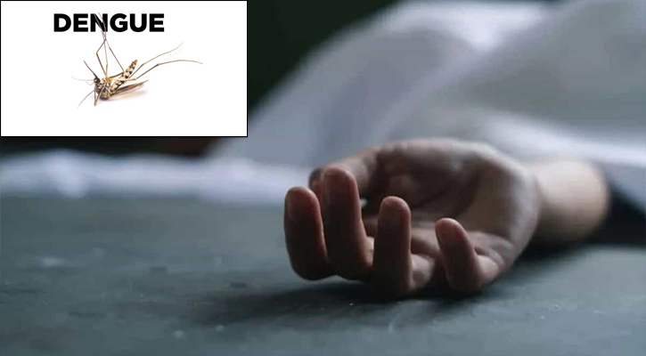 সারাদেশে ডেঙ্গু আতঙ্ক: এক দিনে ১০ জনের মৃত্যু