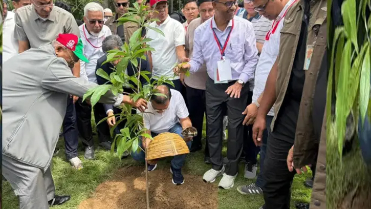 ২৫ কোটি গাছ লাগানোর মহাপরিকল্পনার উদ্বোধন করলেন প্রধানমন্ত্রী