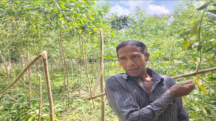 শ্রীপুরে জমি বিরোধে প্রতিপক্ষের হামলা
