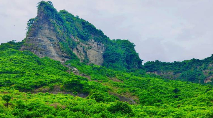 টেকনাফে নারী ও শিশুদের পাচারের চেষ্টা ব্যর্থ, পাচারকারী আটক