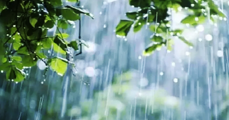 আগামী ৫ দিন দেশজুড়ে ভারী বর্ষণের পূর্বাভাস