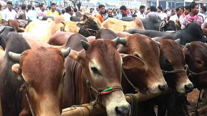 ঈদের নামাজের আগে কোরবানি করা যাবে কি? ইসলাম কী বলে