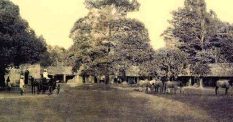কলাবাগানের নামকরণের ইতিহাস