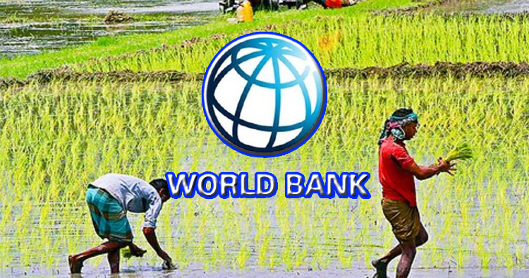কৃষিতে ব্যয় বাড়লেও কমছে উৎপাদনশীলতা: বিশ্বব্যাংক