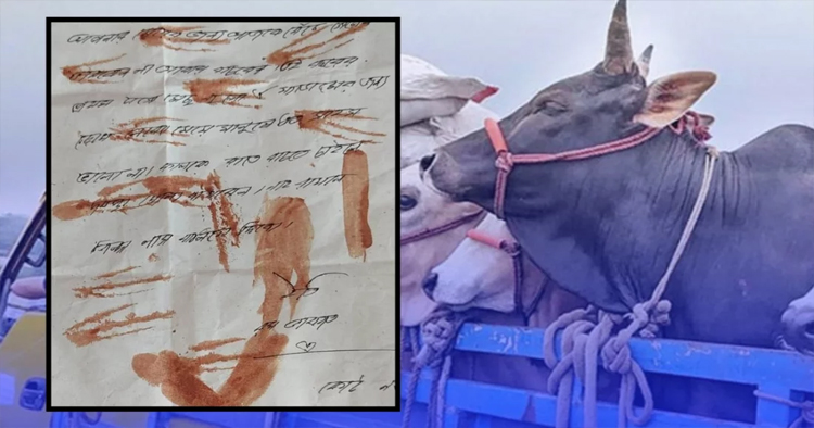 খামারিদের বাড়িতে রক্তমাখা চিঠি, ডাকাতির হুমকি