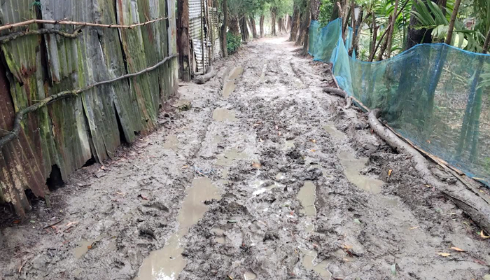 পটুয়াখালীতে গ্রামীণ সড়কের বেহাল দশা