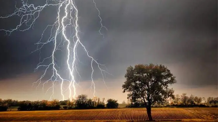 বজ্রপাতে সুনামগঞ্জে প্রাণ গেল ৫ কৃষকের