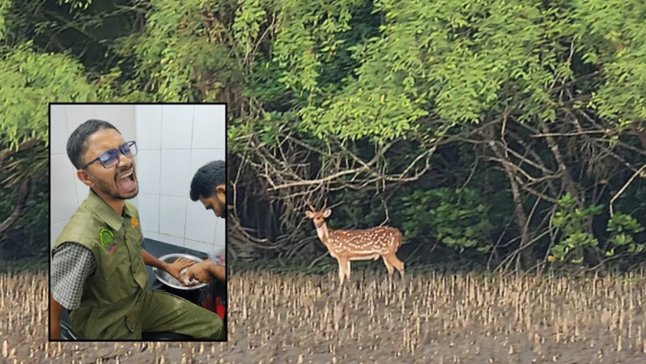 বনরক্ষীদের ওপর হামলা, হরিণ শিকারিকে ছিনিয়ে নিল দুর্বৃত্তরা