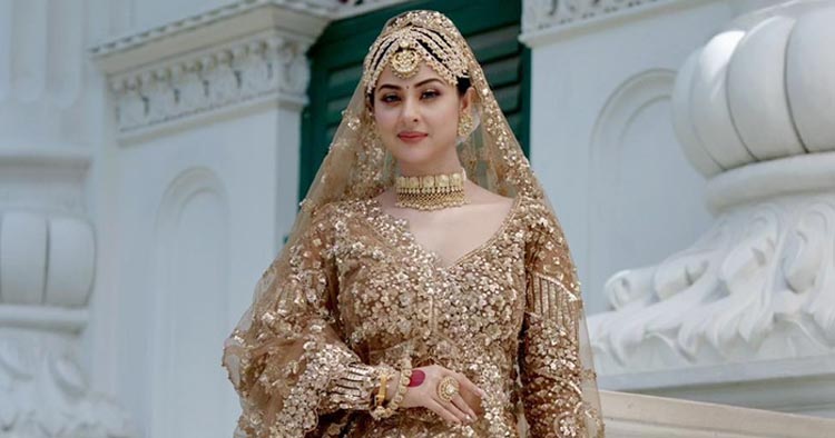 রানির সাজে নজর কাড়লেন শবনম বুবলী