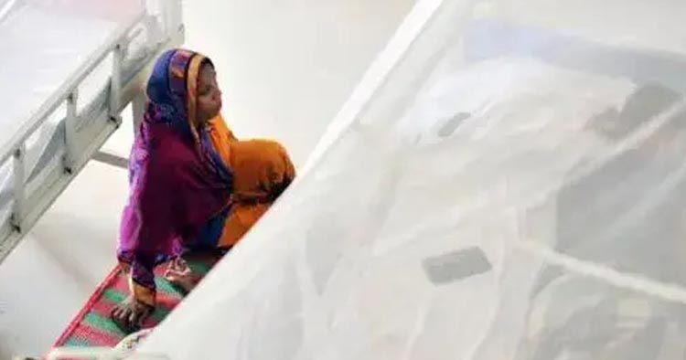 ২৪ ঘণ্টায় ডেঙ্গুতে মৃত্যু ৬, হাসপাতালে ভর্তি ১১৯৫ জন